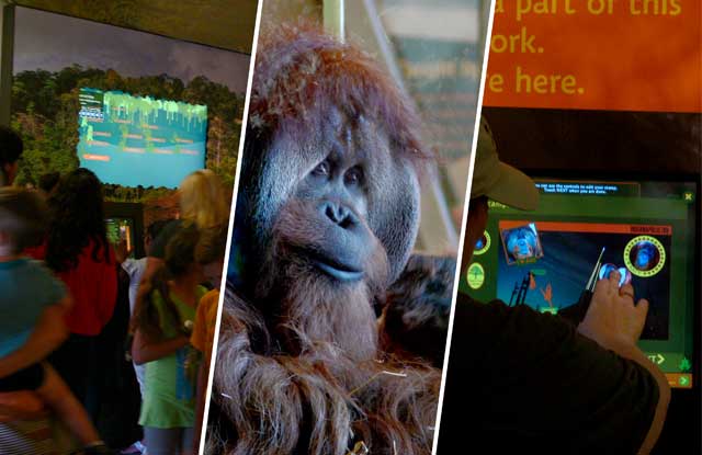 Orangutan Donor Kiosks at the Indianapolis Zoo