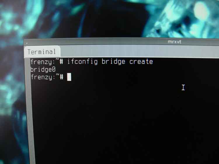 Creating a bridge in Frenzy or FreeBSD