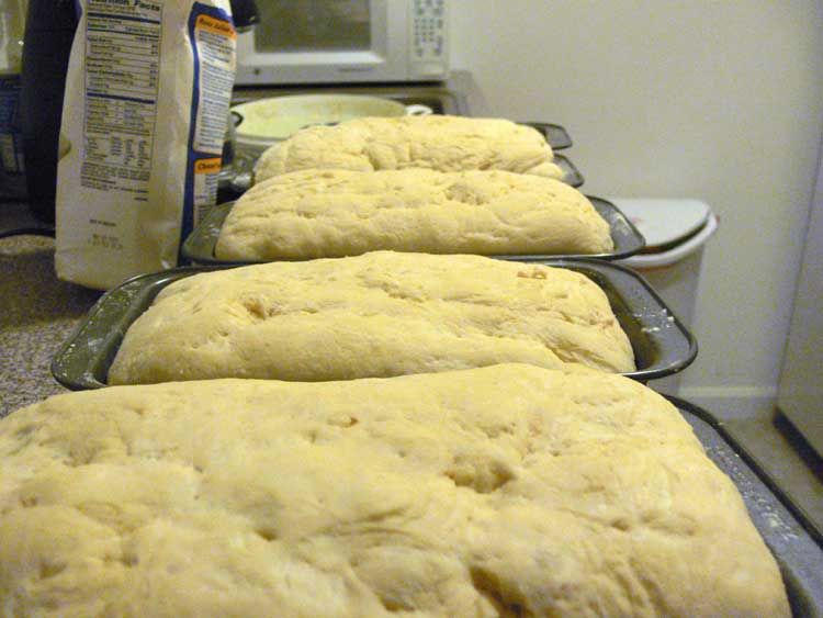 Bread raised to the level where it is ready to be baked.