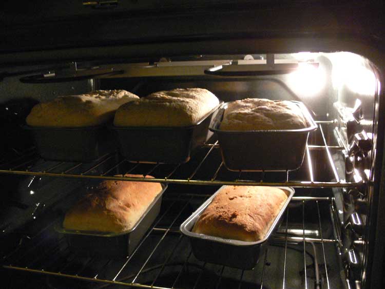 Bread inside an oven.